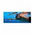 Fulcrum Nuoto Supporto per Bracciata FINIS