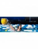 Palla Pallanuoto FINIS Uomini 216 mm Waterpolo