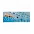 Paracadute regolabile Drag+Fly FINIS per nuoto frenato