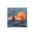 Boa per Nuoto in Acque Libere