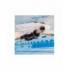 Costume da gara VAPOR PRO Donna Race John FINIS Fina Nero