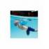 Supporti Galleggianti Scuola Nuoto
