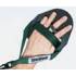 Elastico per Esercizi a Secco Nuoto con Palette Strechcordz