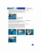 Mondo Nuoto Imparare a nuotare Migliorare la tecnica AA VV